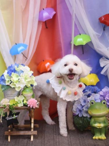 20230620ネネちゃん